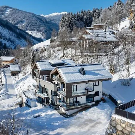 Schmittenblick 1 Holiday home