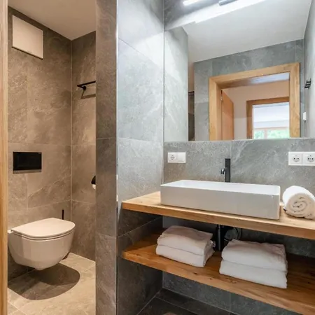 Schmittenblick 1 Prázdninový dům Viehhofen